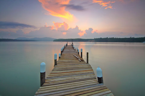 Brown Wooden Footbridge